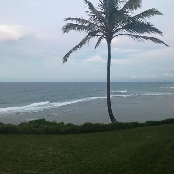 Meet your Posher, Kristen - Picture 1 of 1